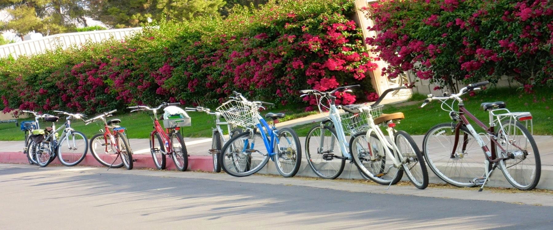 Cycle in the park or join a cycling group.