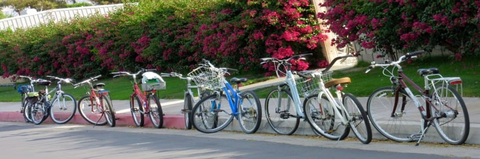 Individual or Group Bike Rentals
