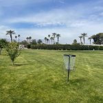 Pitch 'n Putt - Disc Golf